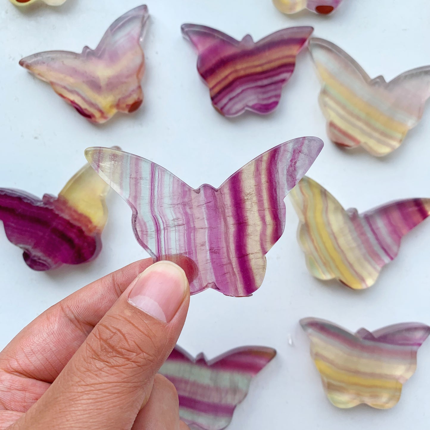 Candy fluorite butterfly